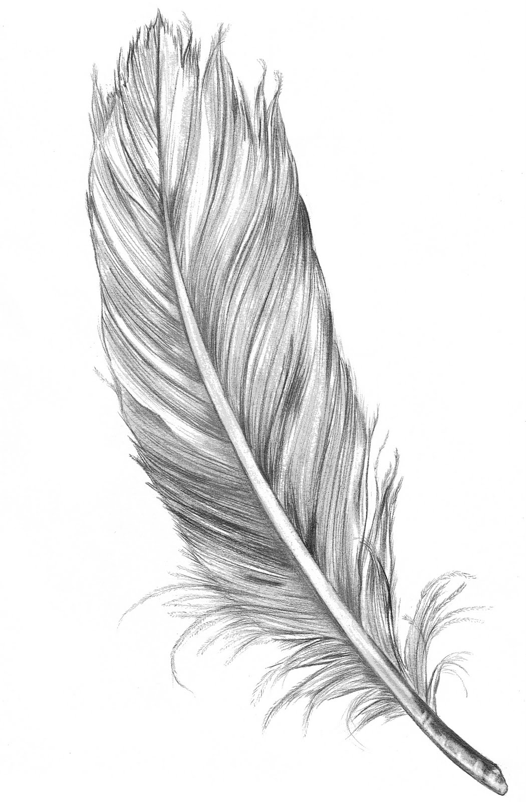 New feather in Marjorie Perloff's cap, and a few words about ...