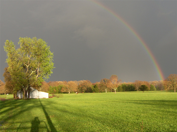 Primary and Secondary Rainbows