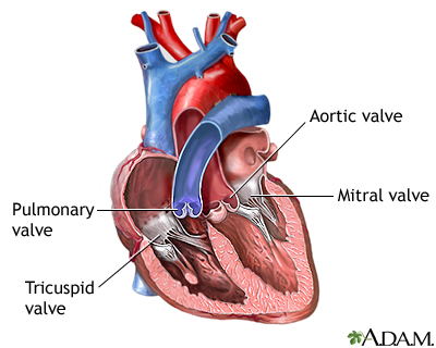 Heart murmurs and other sounds: MedlinePlus Medical Encyclopedia