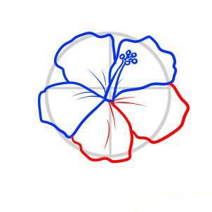 How To Draw A Hawaiian flower | DRAW | Pinterest