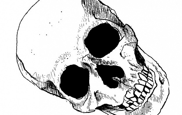 Photography skull art lying view about Black-and-white ...