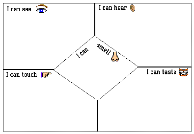 Learning: 5 senses (preschool) on Pinterest | 5 Senses Preschool ...