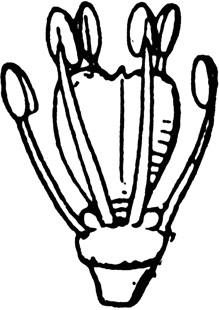Pistil and stamens of shepherd's purse | ClipArt ETC
