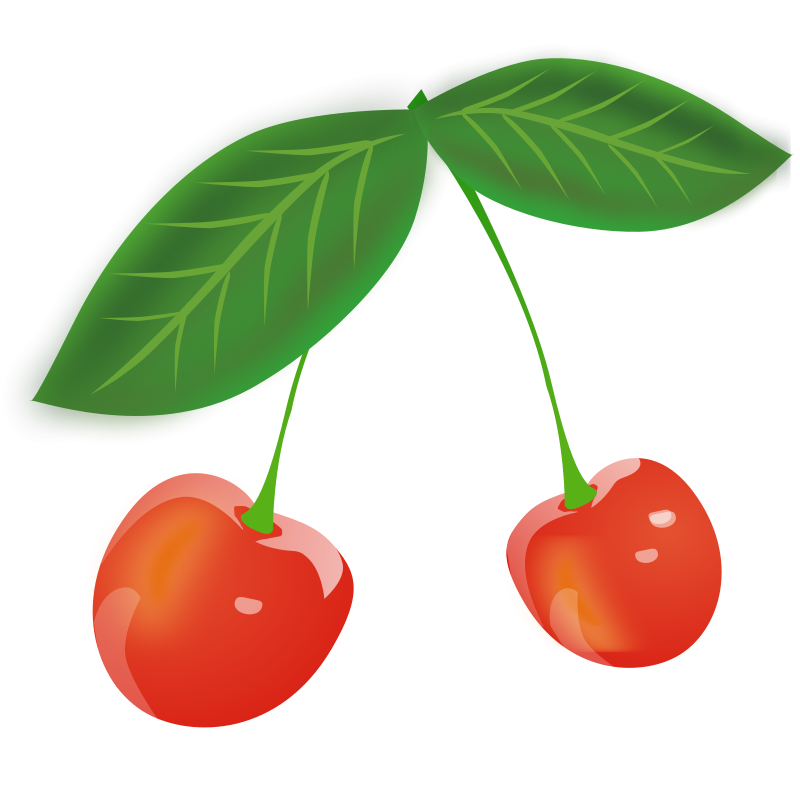 Cherry PNg images, free download