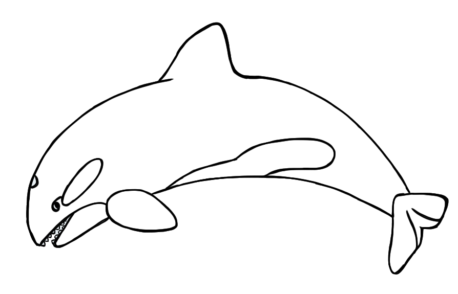 Orca Clipart Black And White Images & Pictures - Becuo