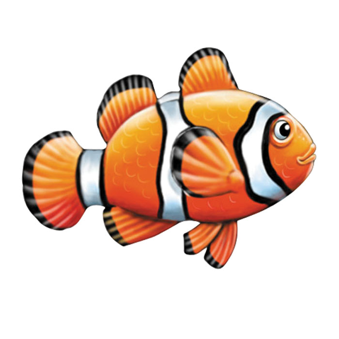 Clown Fish | Live Clownfish & Clownfish for Sale | Thepetstop