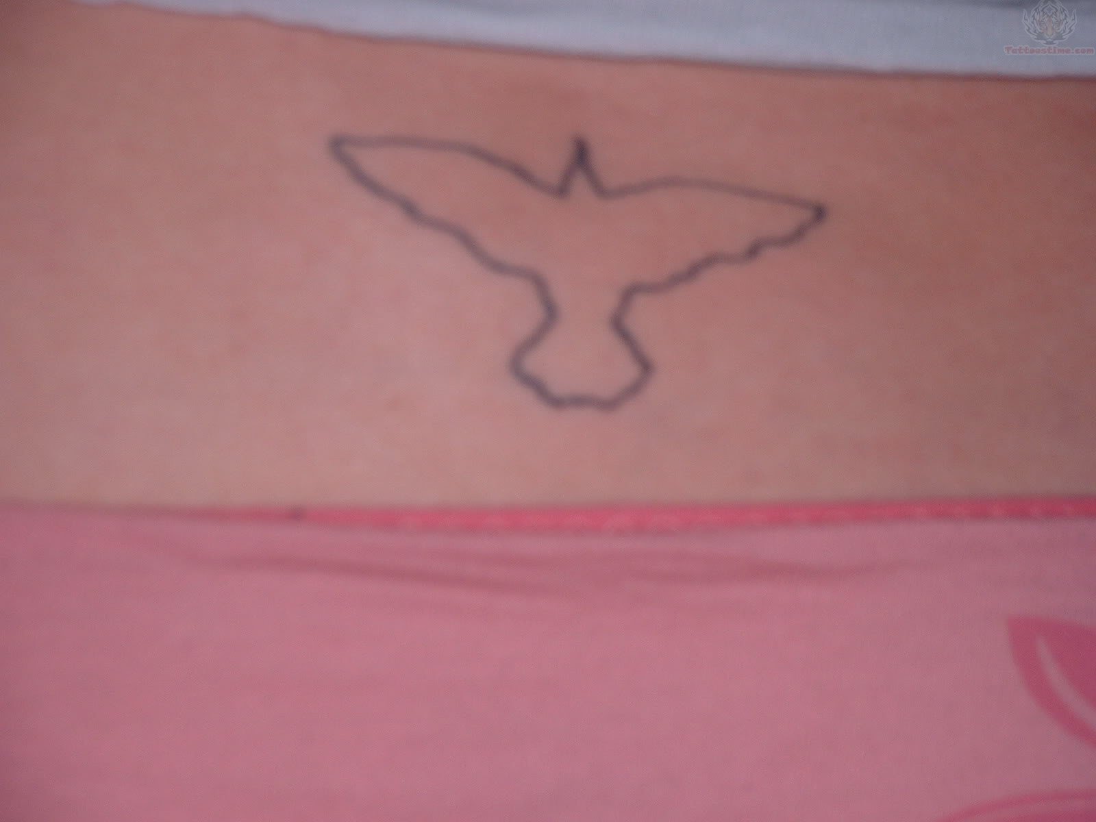 lowerback-crow-outline-tattoo.jpg