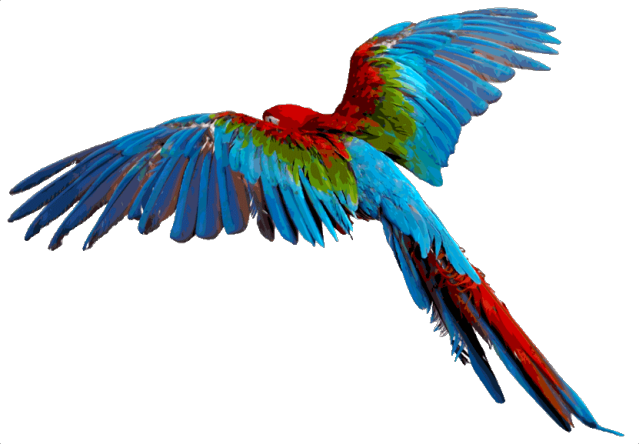 Free Birds Clip Art - Free Things That Fly Clip Art