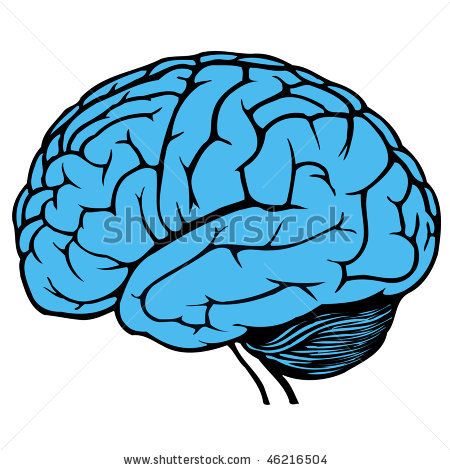 Cartoon Pictures Human Brain Clipart - Free Clipart