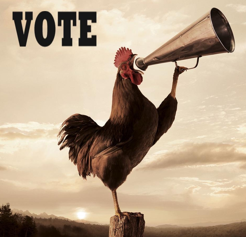 TUESDAY: Get Your Vote On