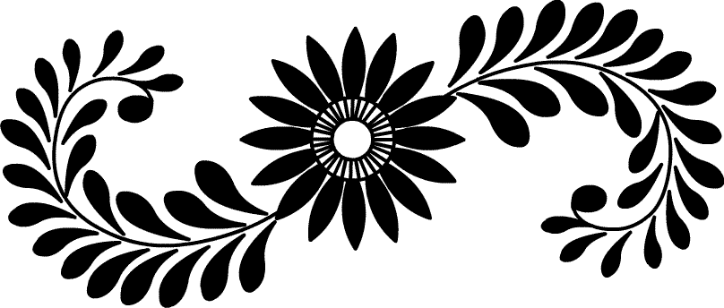 evietonline