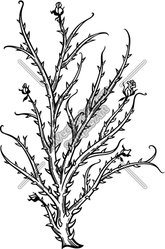Thorn Bush Graphic Clipart and Vectorart: Misc Graphics - Plants ...