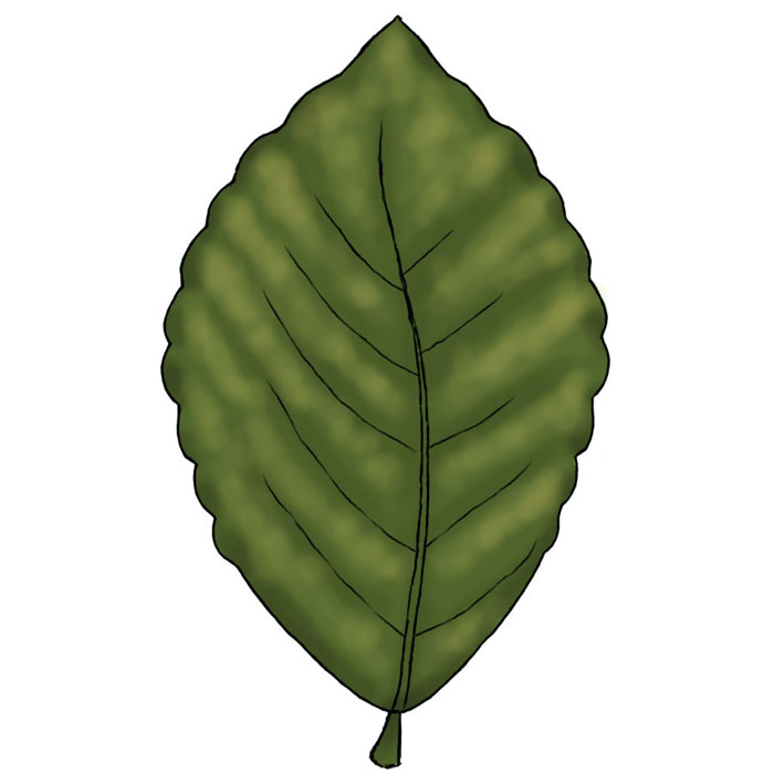 Illustrations of the environment - Resources