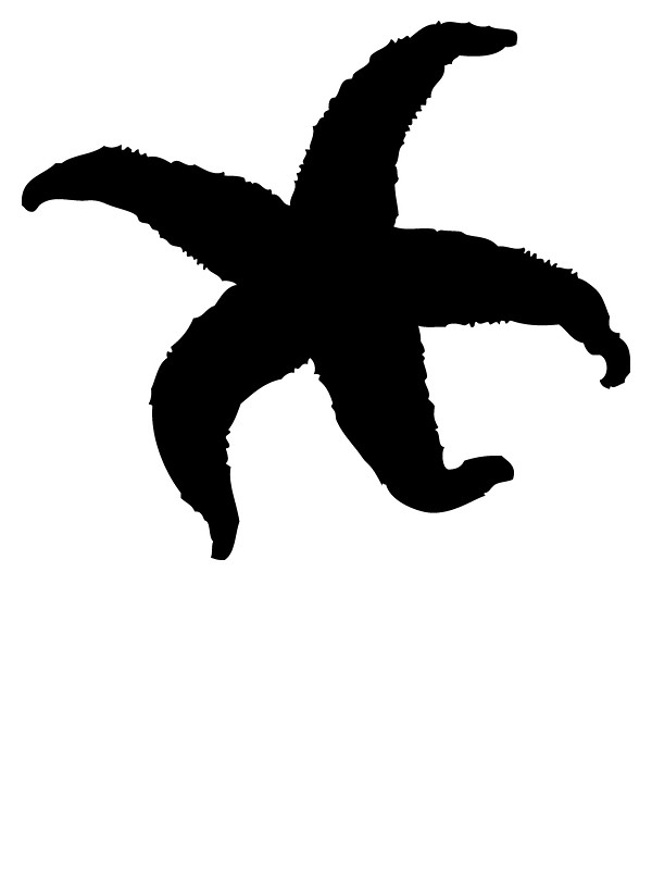 Starfish Silhouette