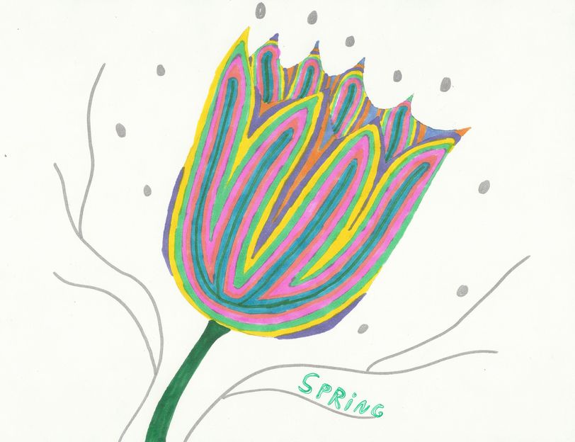 Spring Tulip by PAINThorsemarmalade on deviantART