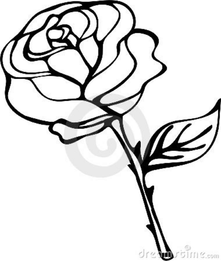 Rose Black And White Outline | Clipart Panda - Free Clipart Images