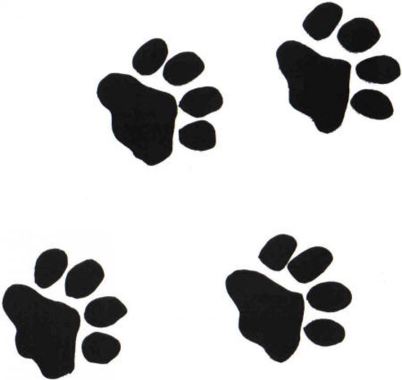 Pictures Of Paw Prints