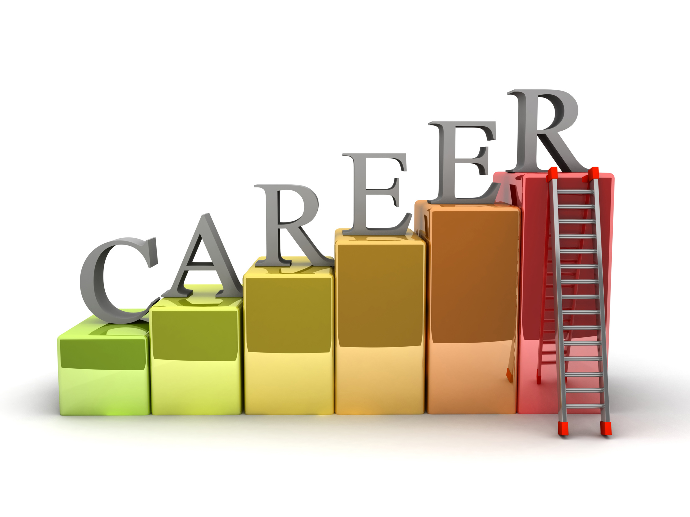 Career Ladder - Nichols Accounting