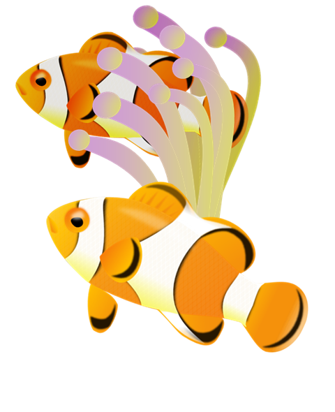 clown-fish 001-2 | Royalty-Free fish clip art - A small fish