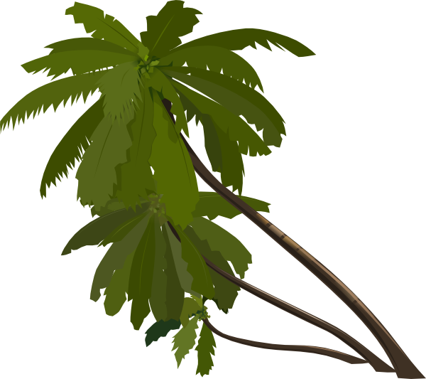 Cartoon Jungle Leaves - ClipArt Best