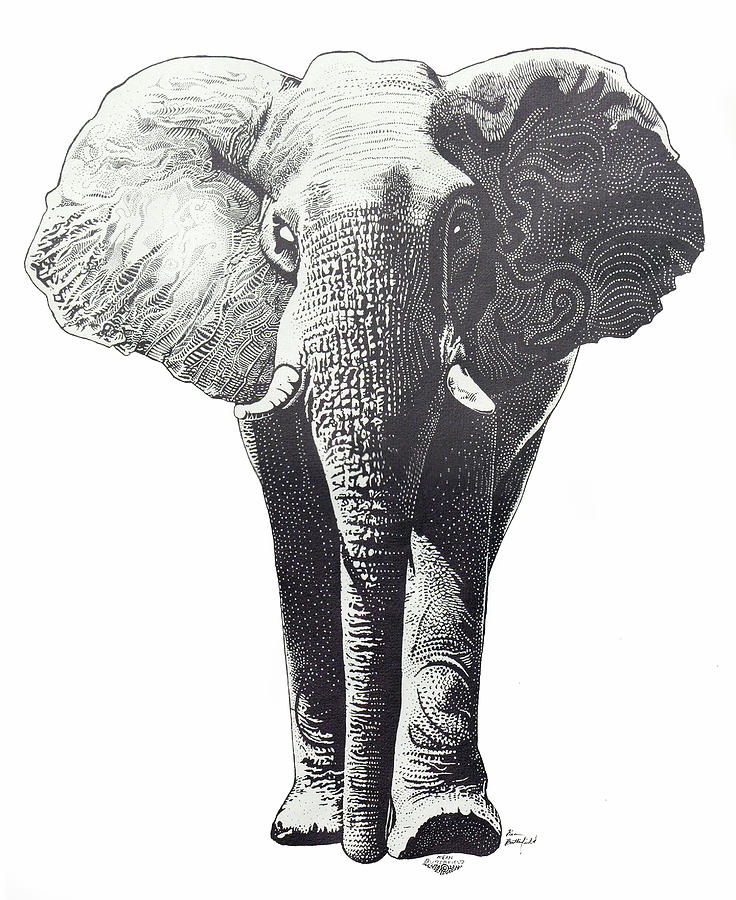 The Elephant by Kean Butterfield