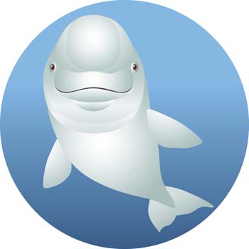 Download Dolphin Vector 8 Free