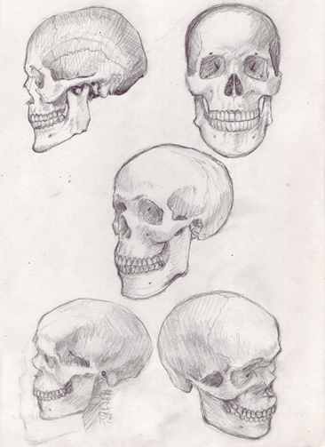 How to Draw a Skull: 50 Tutorials | Drawn in Black