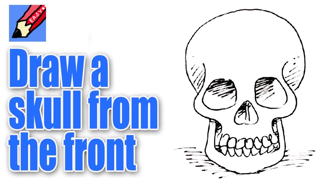 How to draw a skull from the front Real Easy - YouTube