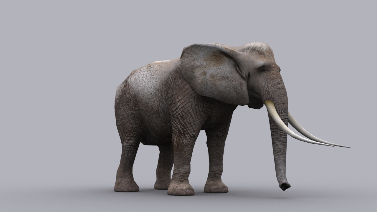 ELEPHANT GAME READY ANIMATED MODEL 3D Model Game ready animated ...