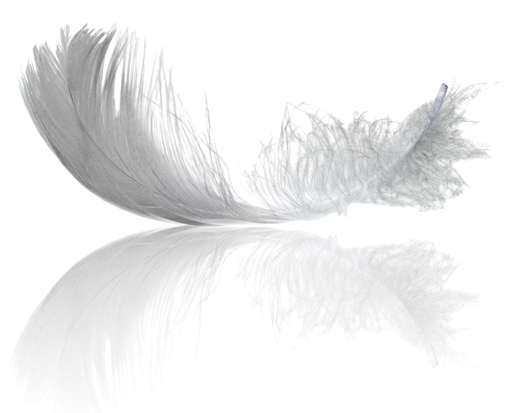 Featherweight Parts: One Million Parts, One ROBLOX World | ROBLOX ...