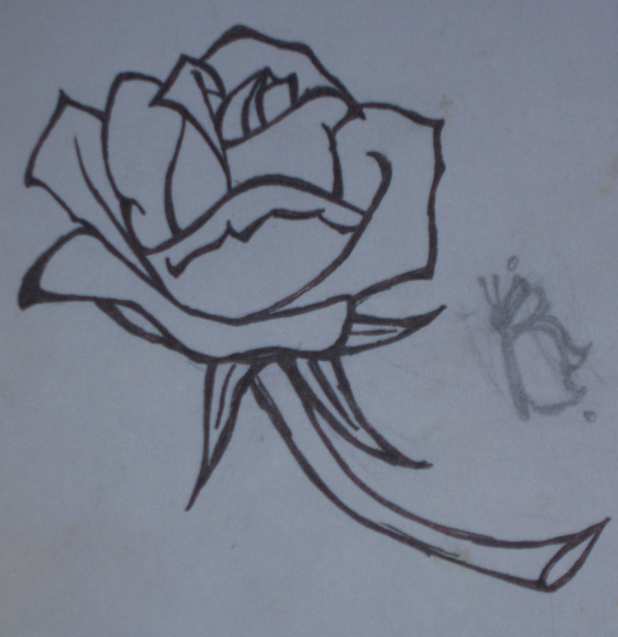 Anna's Rose line-drawing by fritogyrl on DeviantArt