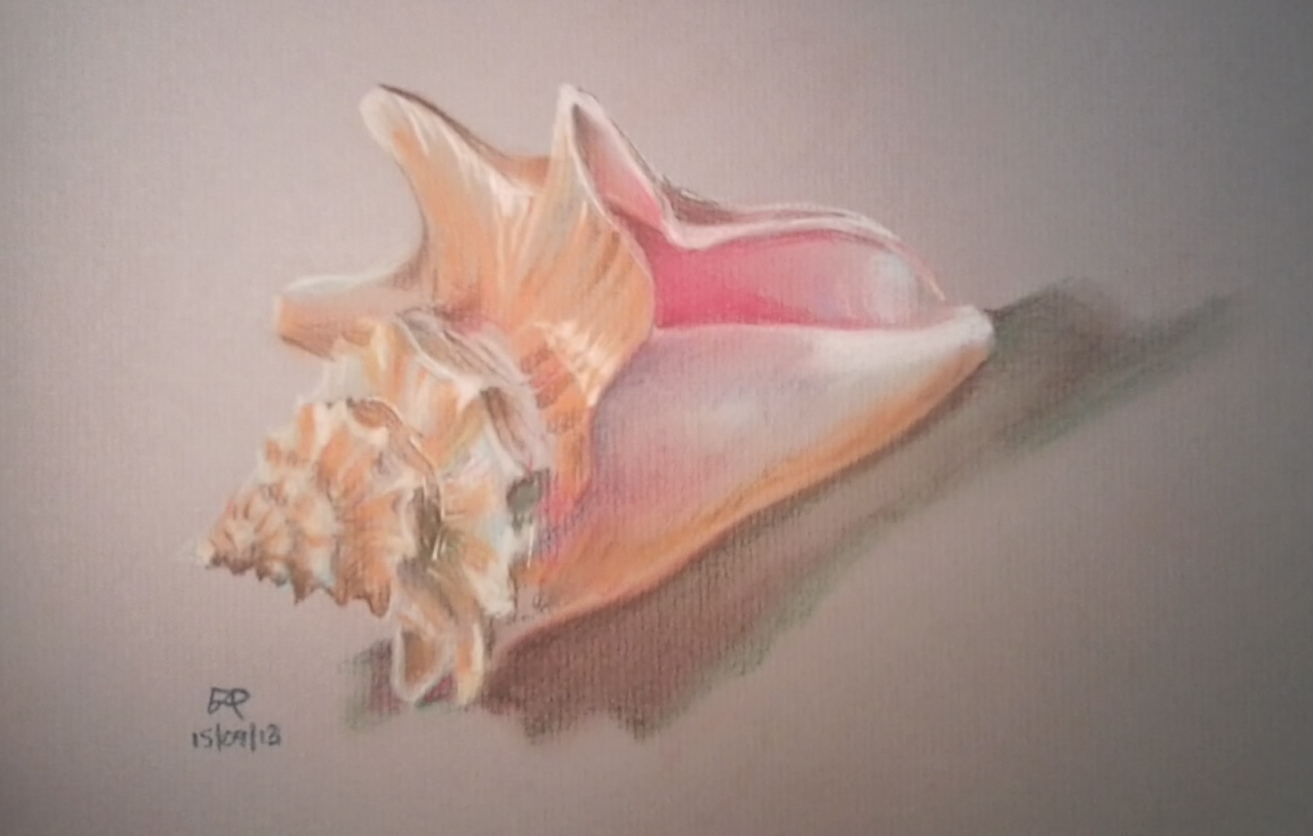 Conch Shell | Fiona Poynter Arty Bites