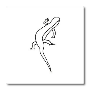 Amazon.com: ht_20936_1 CherylsArt Wild Animals Lizard - Lizard ...