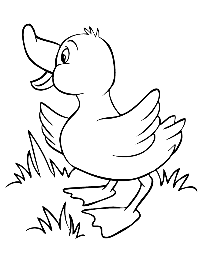 Rubber Duck Outline - AZ Coloring Pages