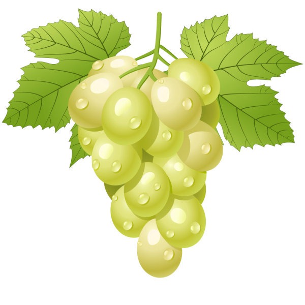 Fruit Grapes Cartoon Water Drop – Graphics Collection | My Free ...
