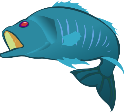 Fish Recipes Of All Kinds