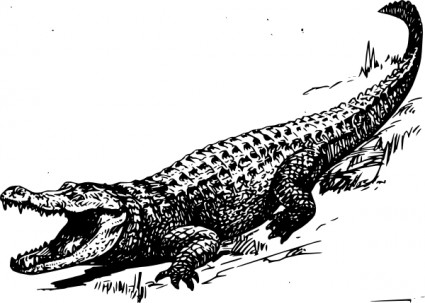Alligator clip art Free vector in Open office drawing svg ( .svg ...