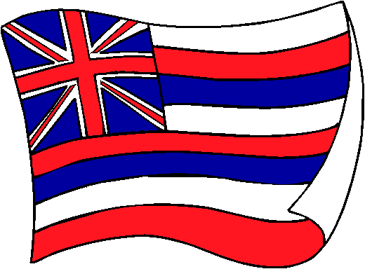 erfeidine: hawaii flag pictures