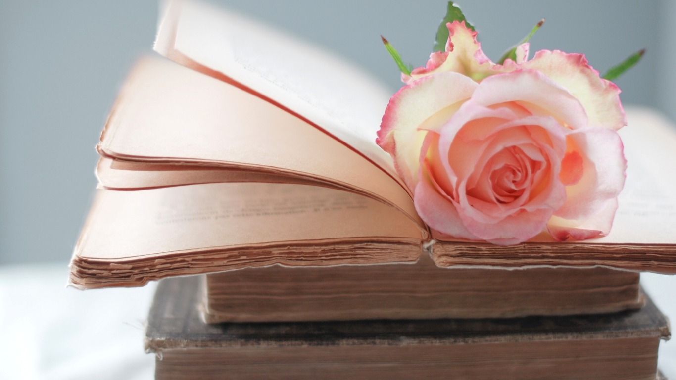 1414pink-rose-on-an-open-book.jpg