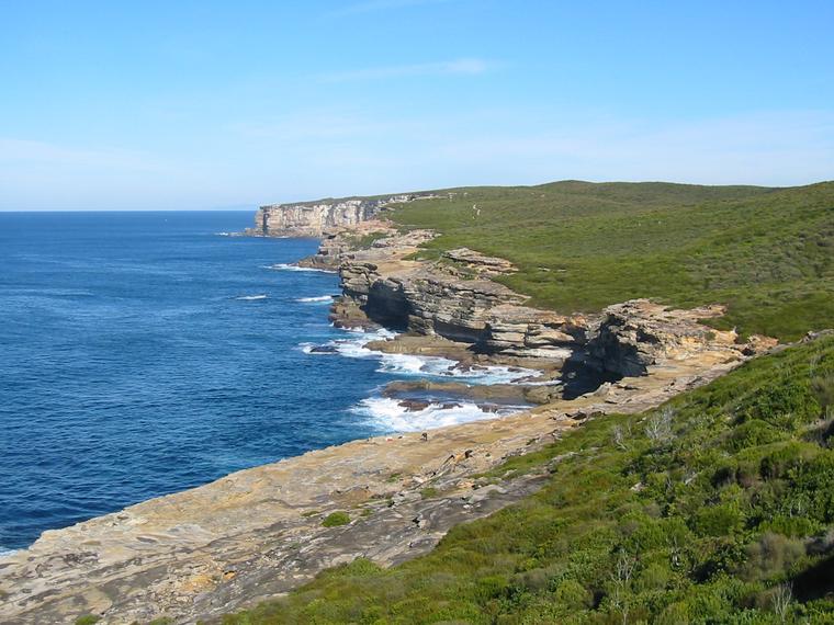 Whale-watching: Royal National Park coastal track