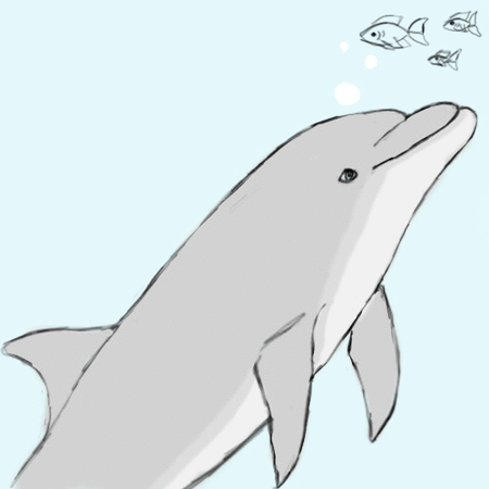 dolphin animation by Roxanne-Wolf on DeviantArt