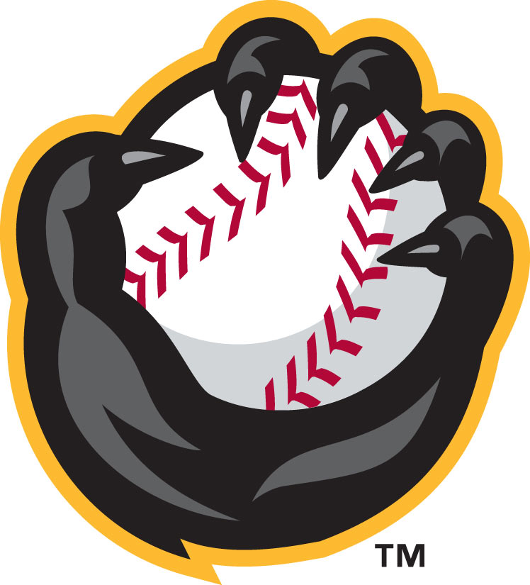 The New River Bandits | Quad Cities River Bandits About