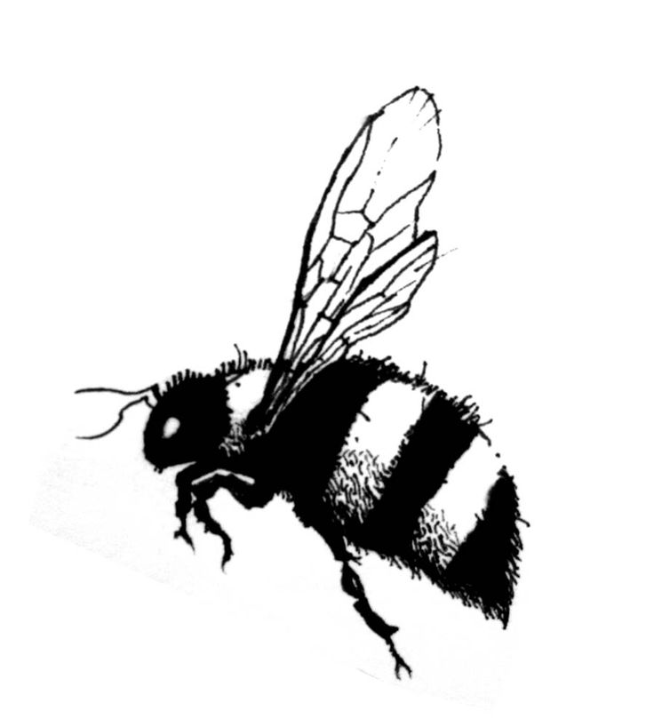 DRAWINGS DAILY: Jess Bee tattoo | Bees and Hives. | Pinterest