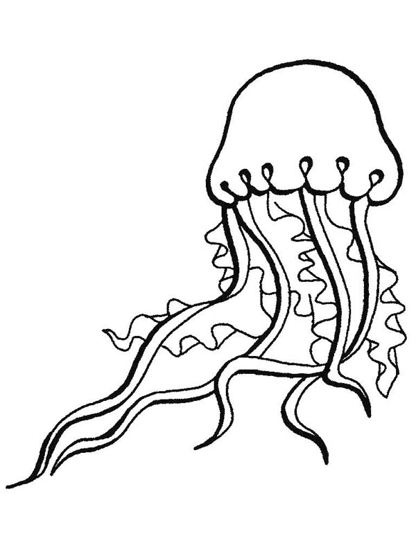 Jellyfish Sea Animals Coloring Page: Jellyfish Sea Animals ...