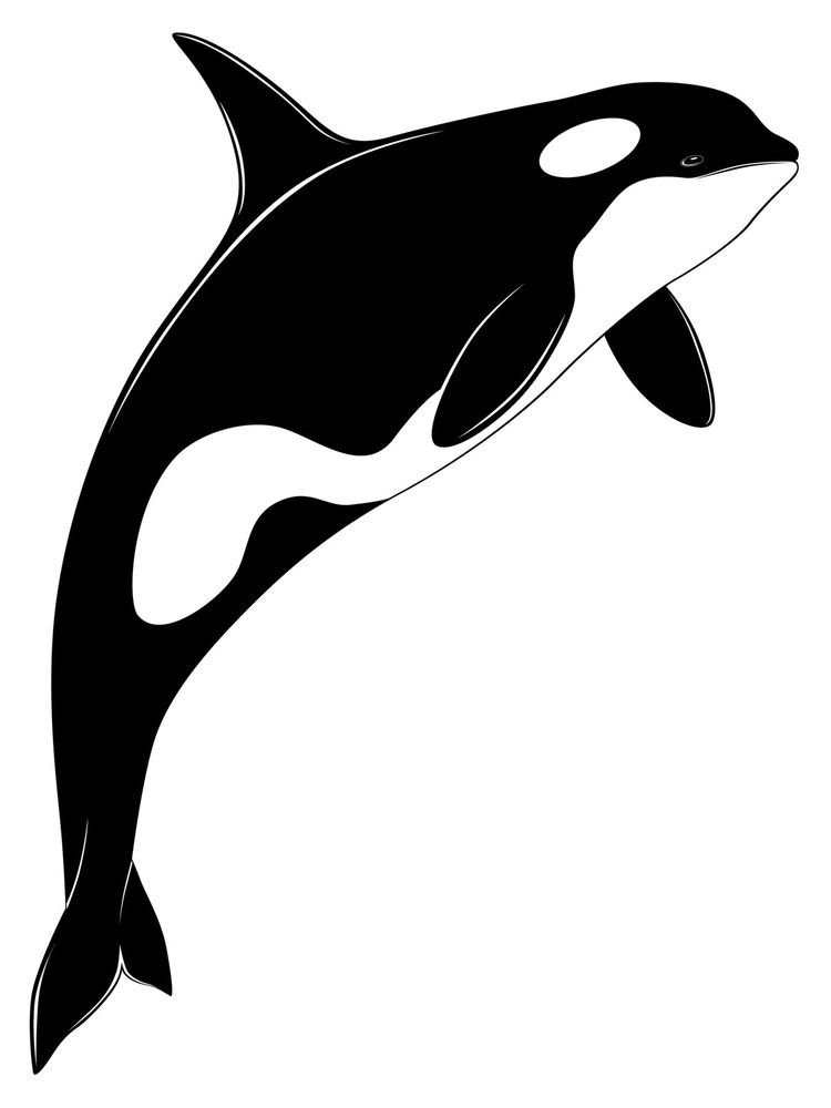 1000x1000.jpg