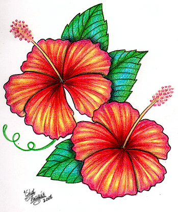 Hibiscus tattoo by madtattooz on deviantART