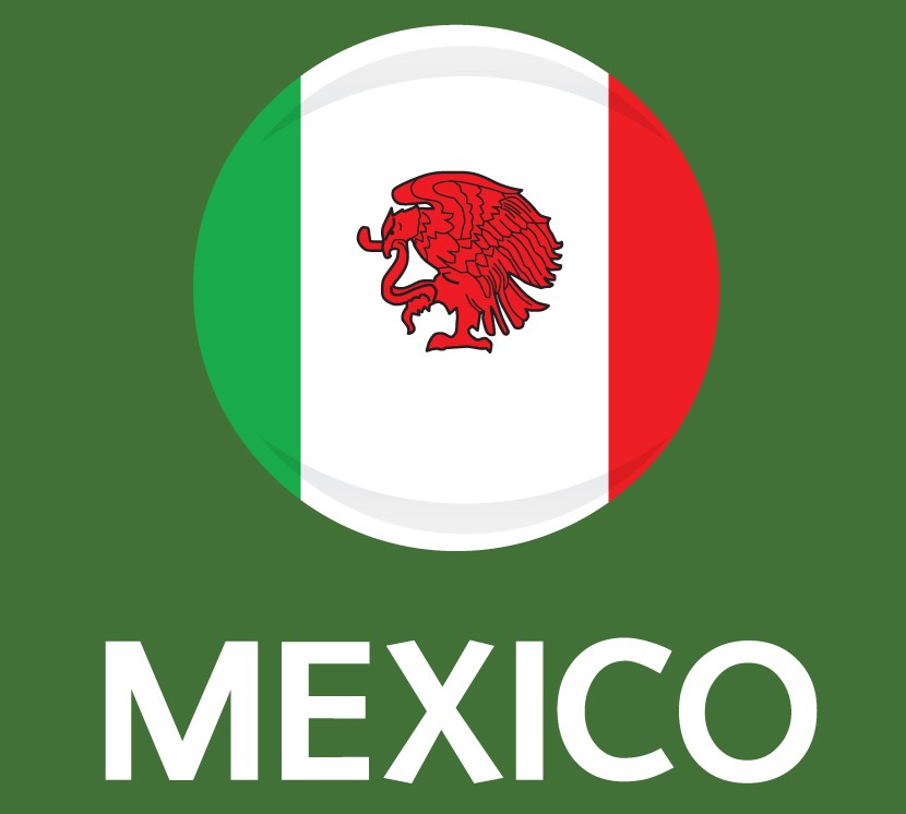 FIFA World Cup 2014 Qualifying Groups. Flag Teams & Names ...
