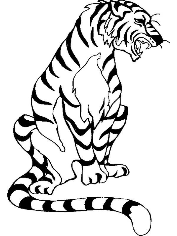 Aladdin Coloring Pages Tiger Coloring Pages