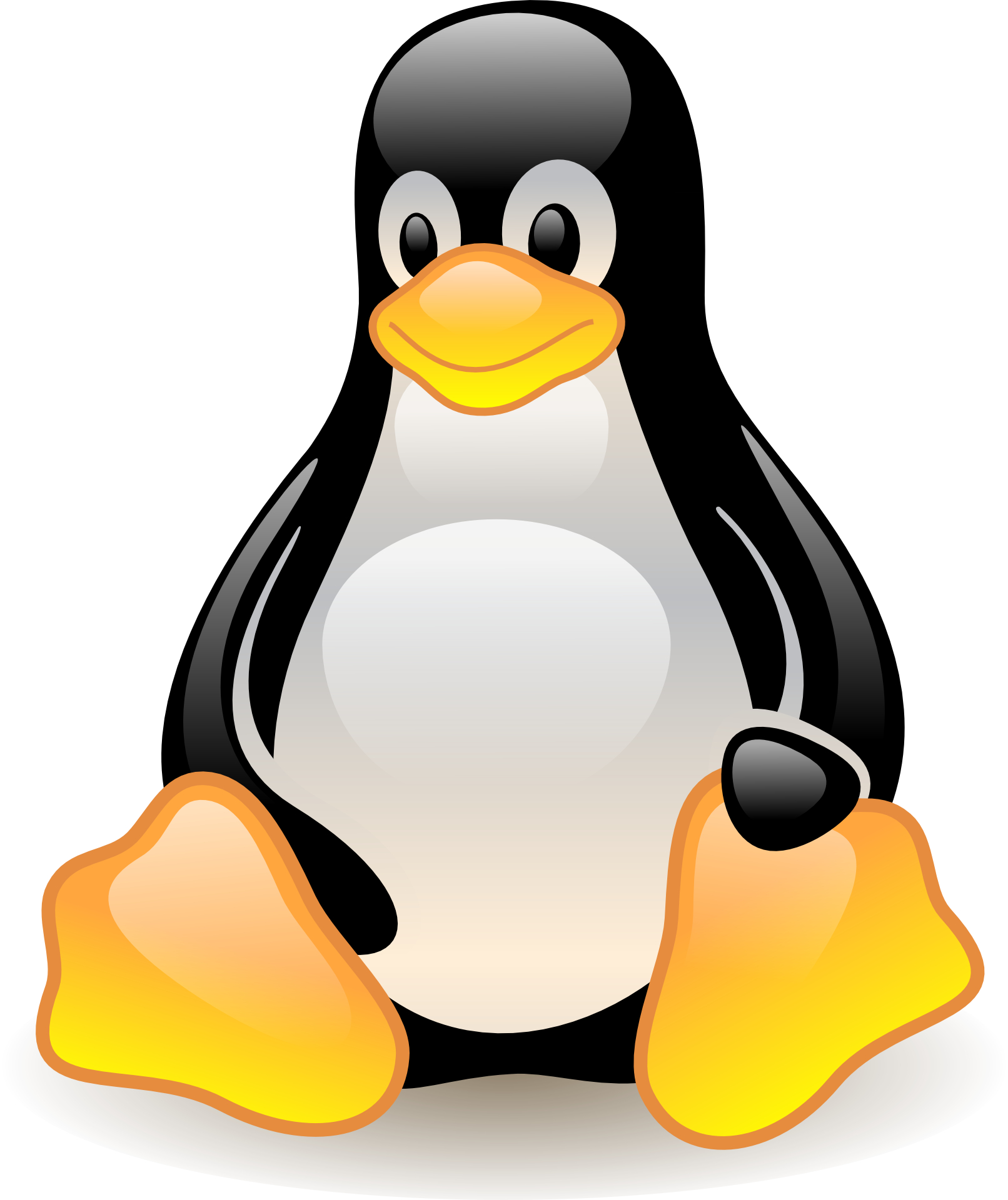 Cute Penguin Cartoon Images & Pictures - Becuo