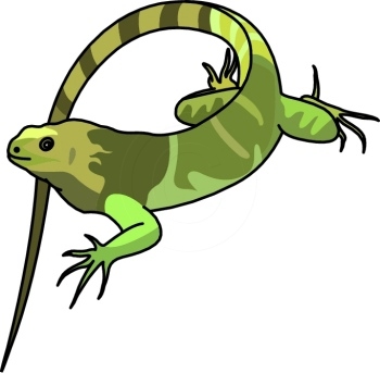 Iguana Clipart : 05-06-09_17RB : Classroom Clipart